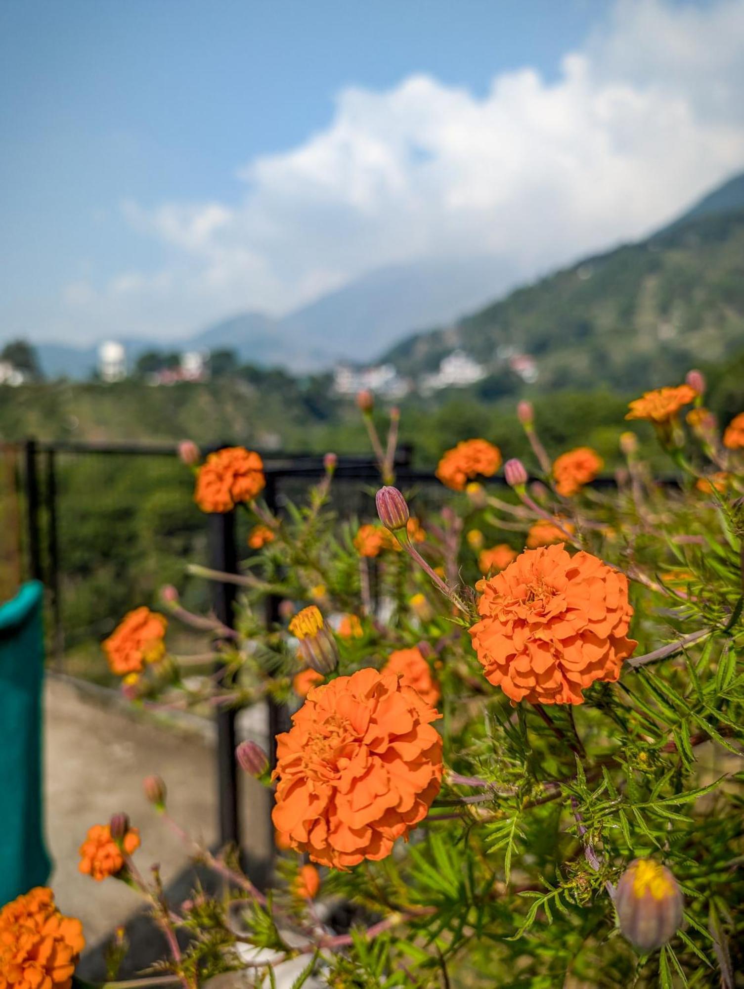 Hobo Hostel Dharamshala Exteriör bild